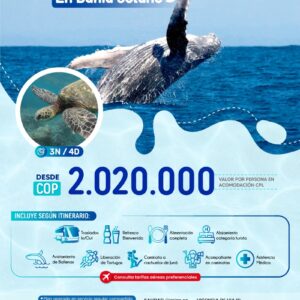 Bahía Solano, avistamiento de ballenas y tortugas
